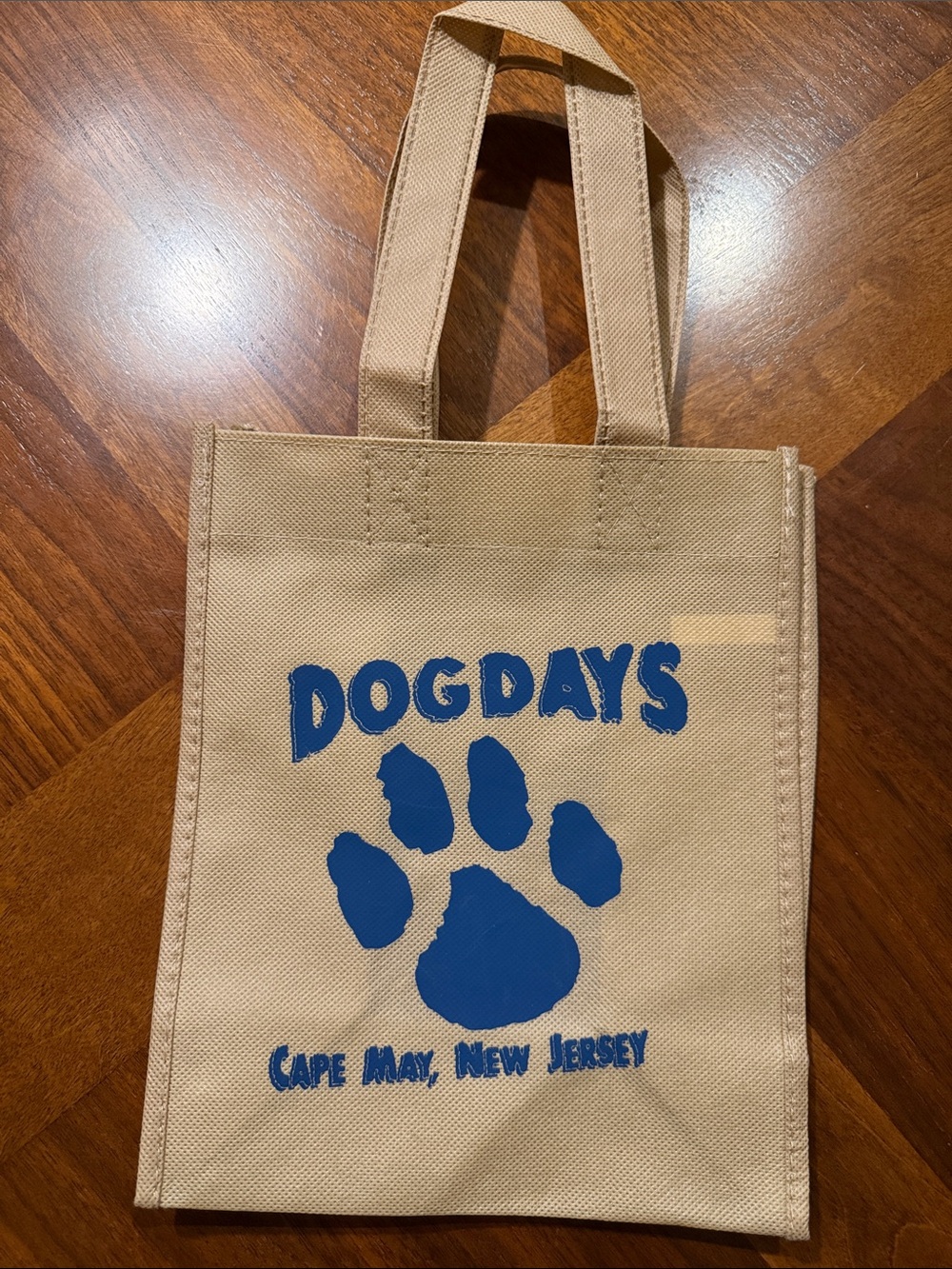 ADORABLE REUSABLE SHOPPING BAG - CAPE MAY, NJ
